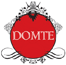 Логотип Домте